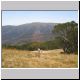 Falls Creek - Scenery (2).jpg